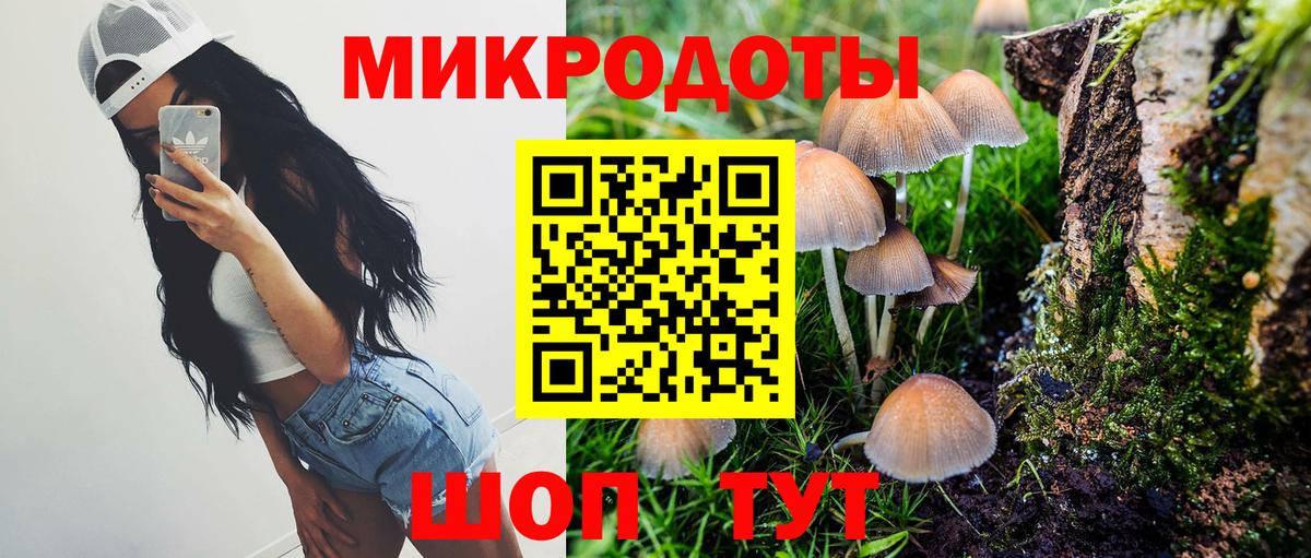 Городец  Галлюциногенные грибы GOLDEN TEACHER  Галлюциногенные грибы GOLDEN TEACHER  Вход с VPN 